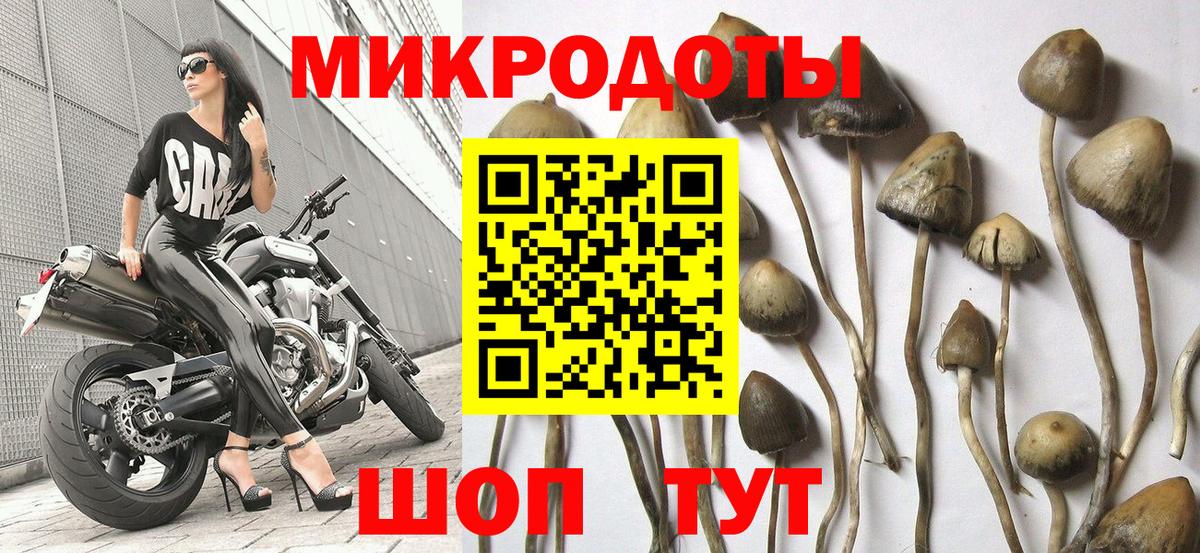 Галлюциногенные грибы ЛСД  хочу наркоту  Ростов Великий  Вход с VPN 