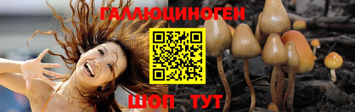 КОКАИН Ростов Великий