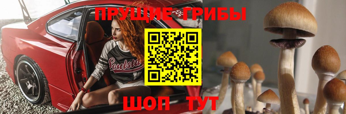 Псилоцибиновые грибы GOLDEN TEACHER Ростов Великий
